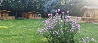 Bluebell Lodge Dog Friendly, nr Anderby Creek