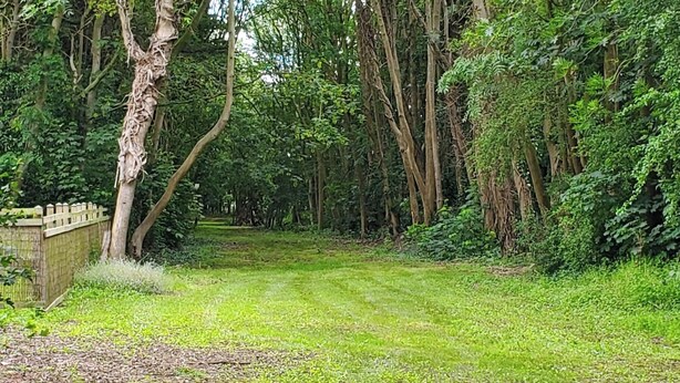 A grassy area with trees and a wooden fence. - Bluebell Lodge Dog Friendly, nr Anderby Creek (Alford)