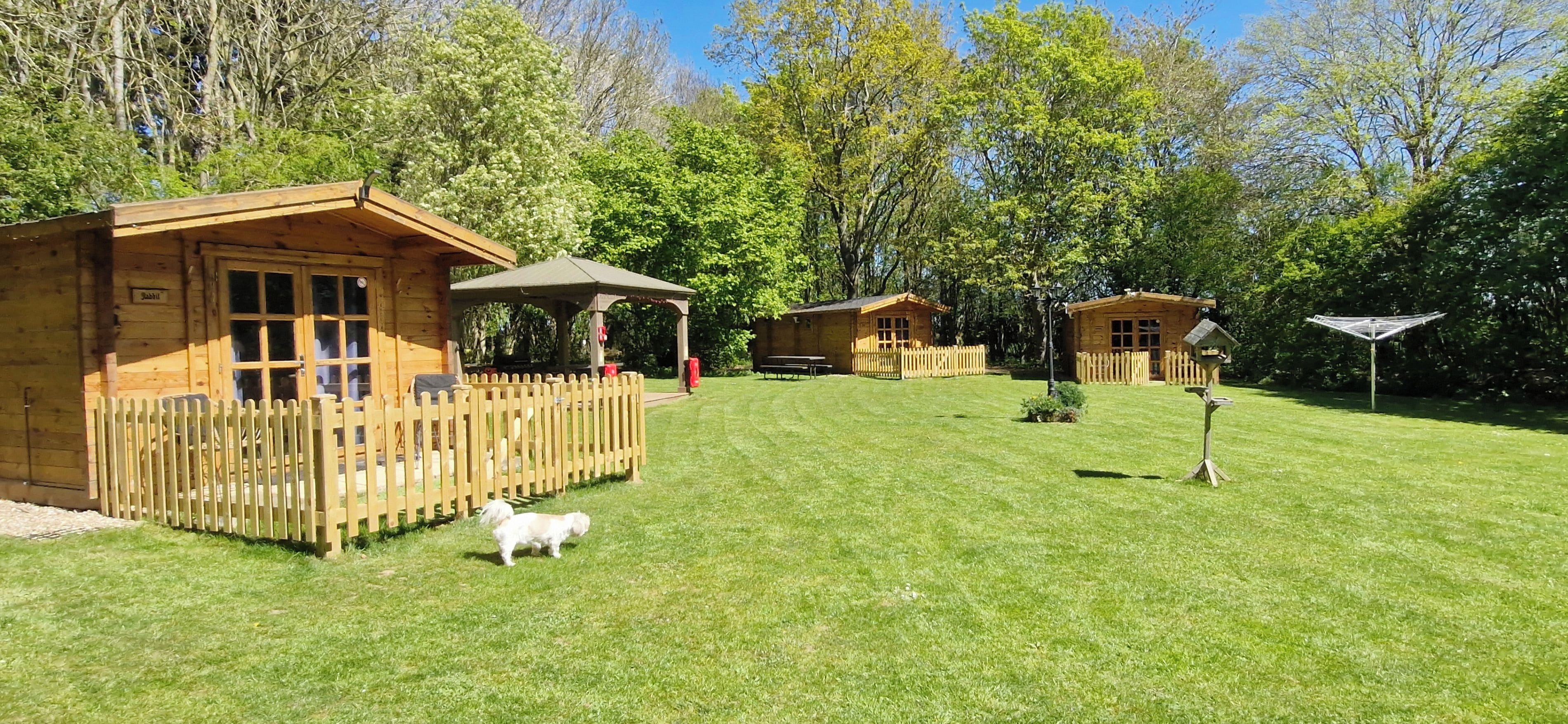 A wooden cabin with a fenced deck, a picnic table, and a small white dog.