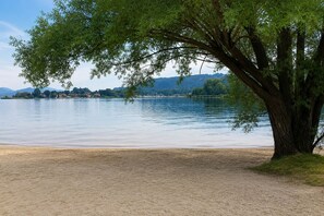 Blick auf ein Seeufer mit einem Baum im Vordergrund, ruhigem Wasser und einer entfernten Uferlinie mit Gebäuden.