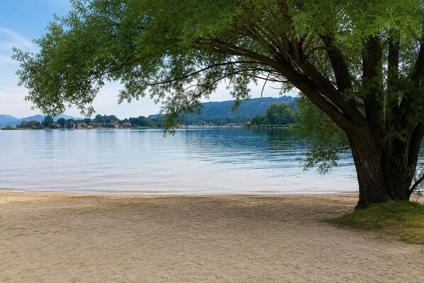 Une vue sur un lac, avec un arbre au premier plan, une eau calme et une rive lointaine où se trouvent des bâtiments.