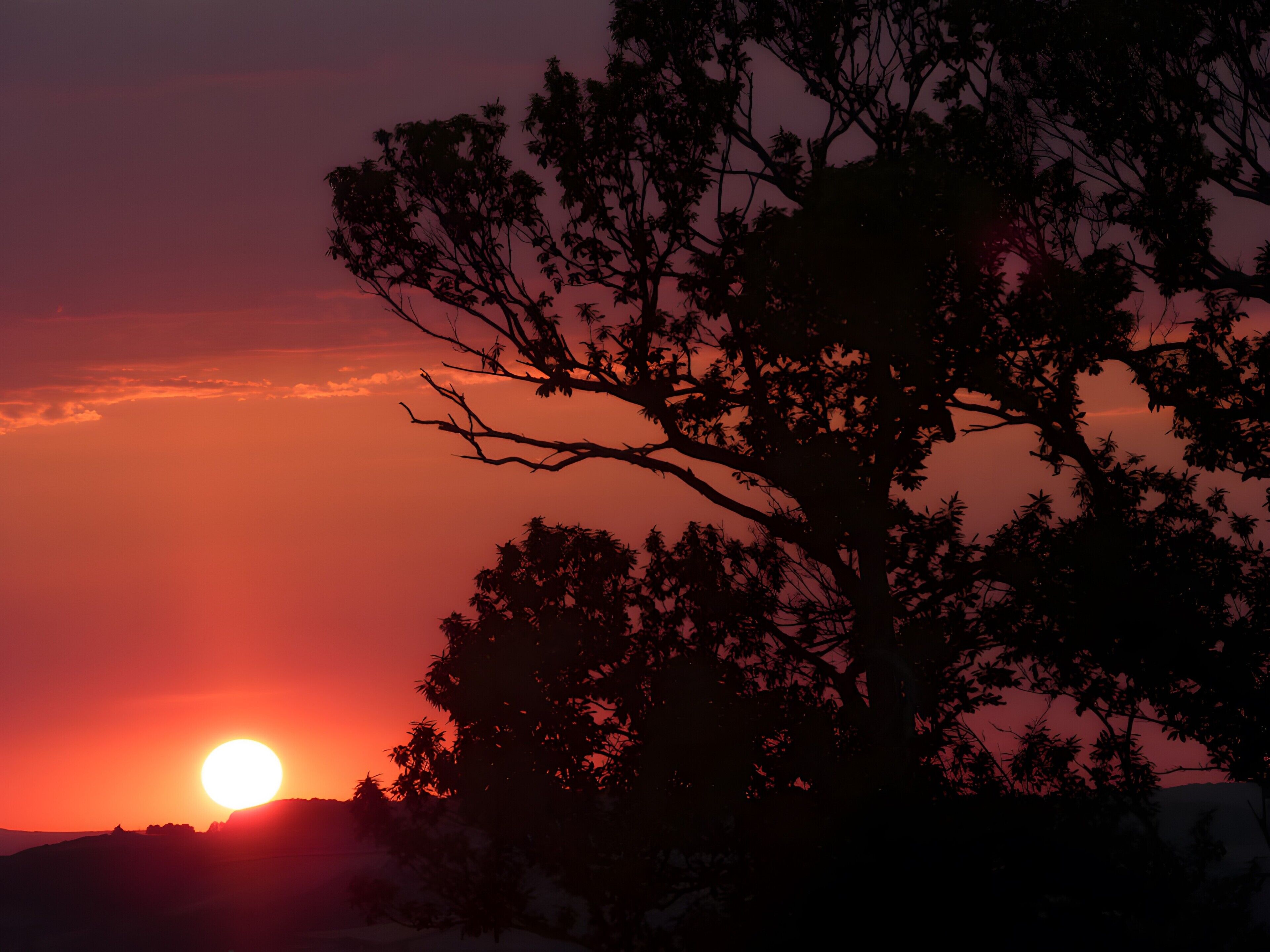 A sunset with a silhouette of a tree and hills in the background.