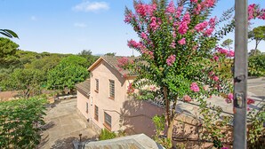 A building with a sloped roof, surrounded by greenery and a flowering tree.