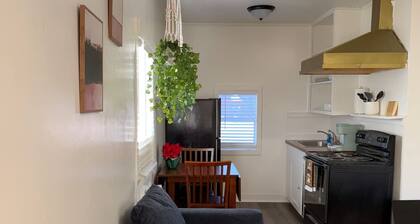 Cozy Modern Studio - Heart of Lafayette