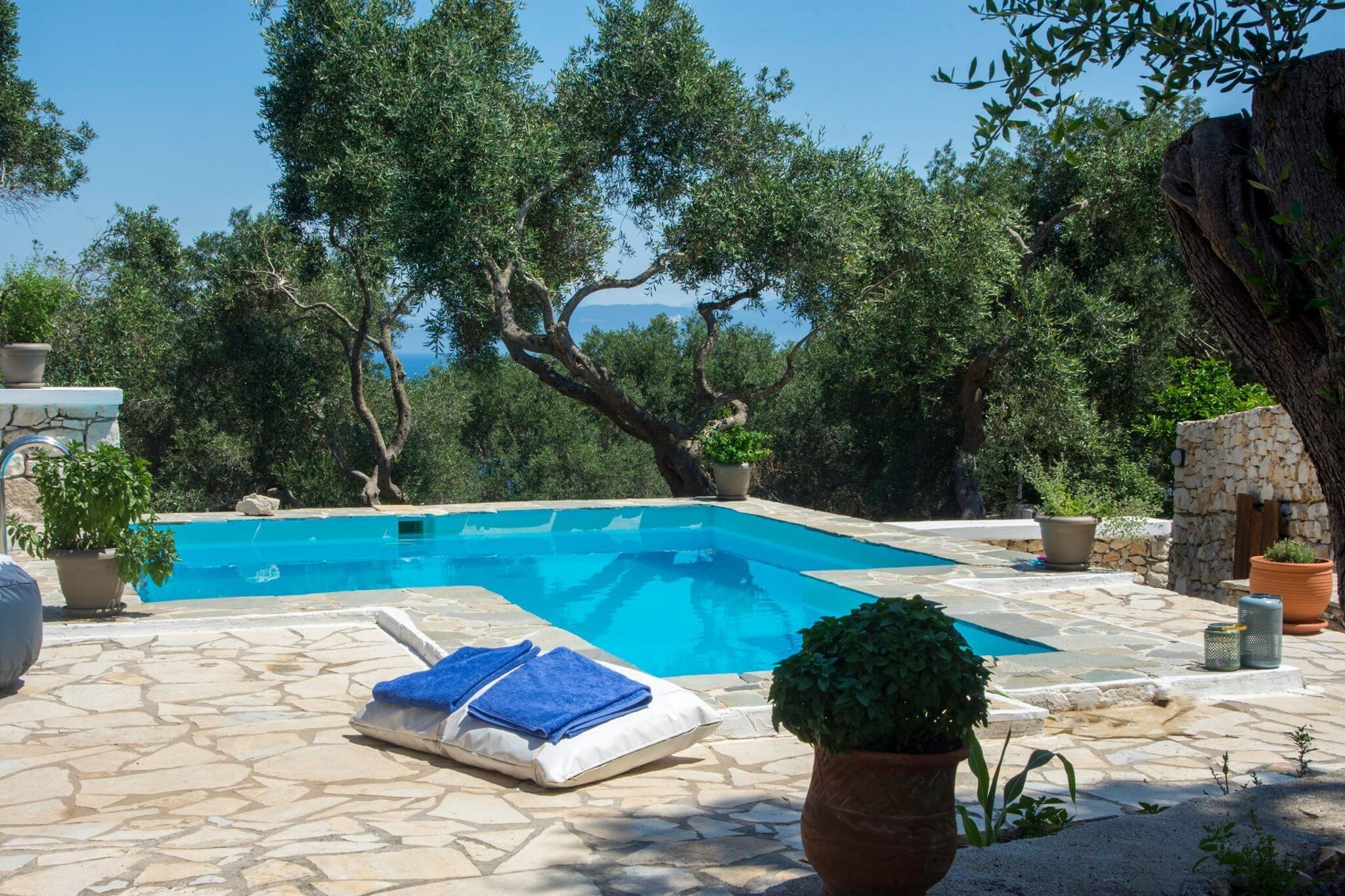 Piscina com deck de pedra, cercada por árvores e plantas em vasos.