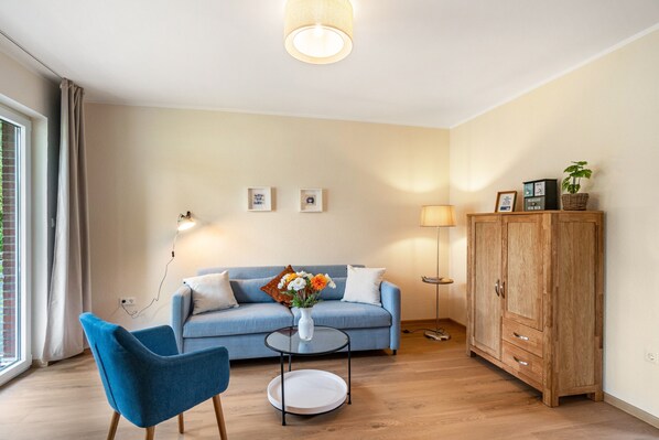 تلفزيون
