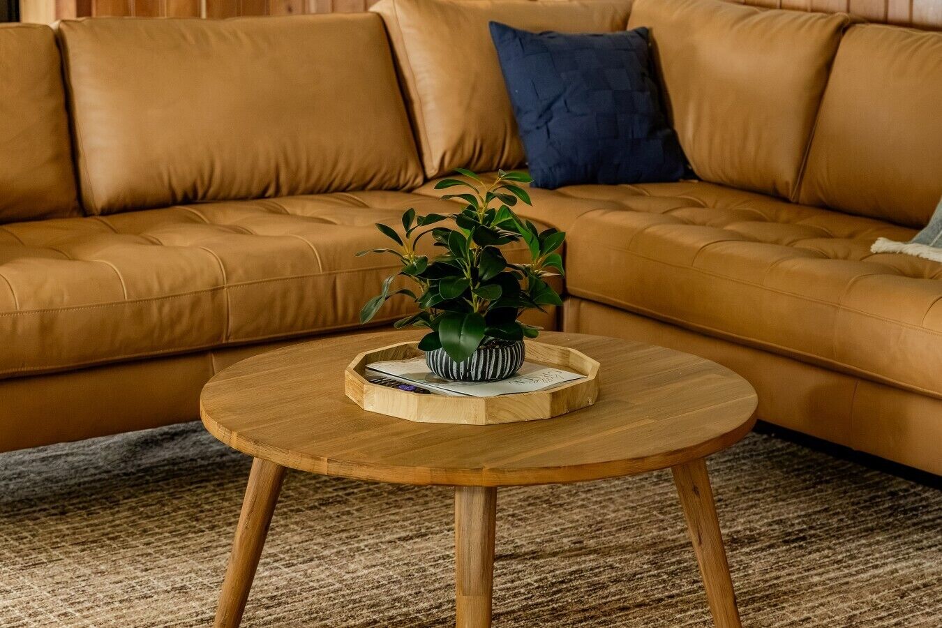 Un canapé en cuir couleur fauve agrémenté d’un coussin bleu, une table basse en bois avec une plante et un bol à rayures, et un tapis à motifs.