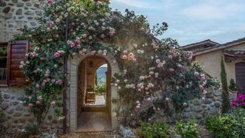 An arched doorway with a stone wall covered in climbing roses.