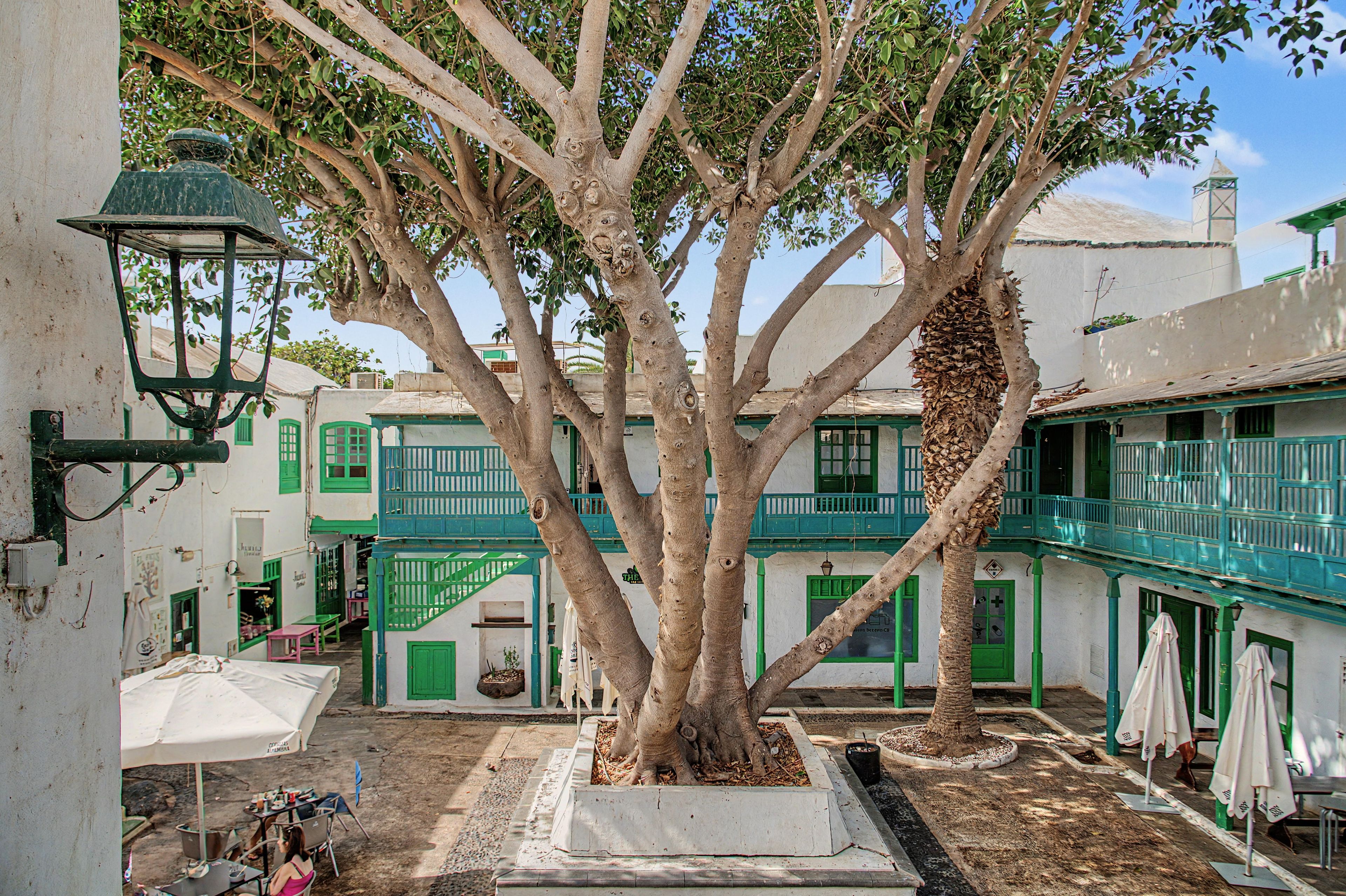 A courtyard with a large tree, a staircase, and buildings with green accents.