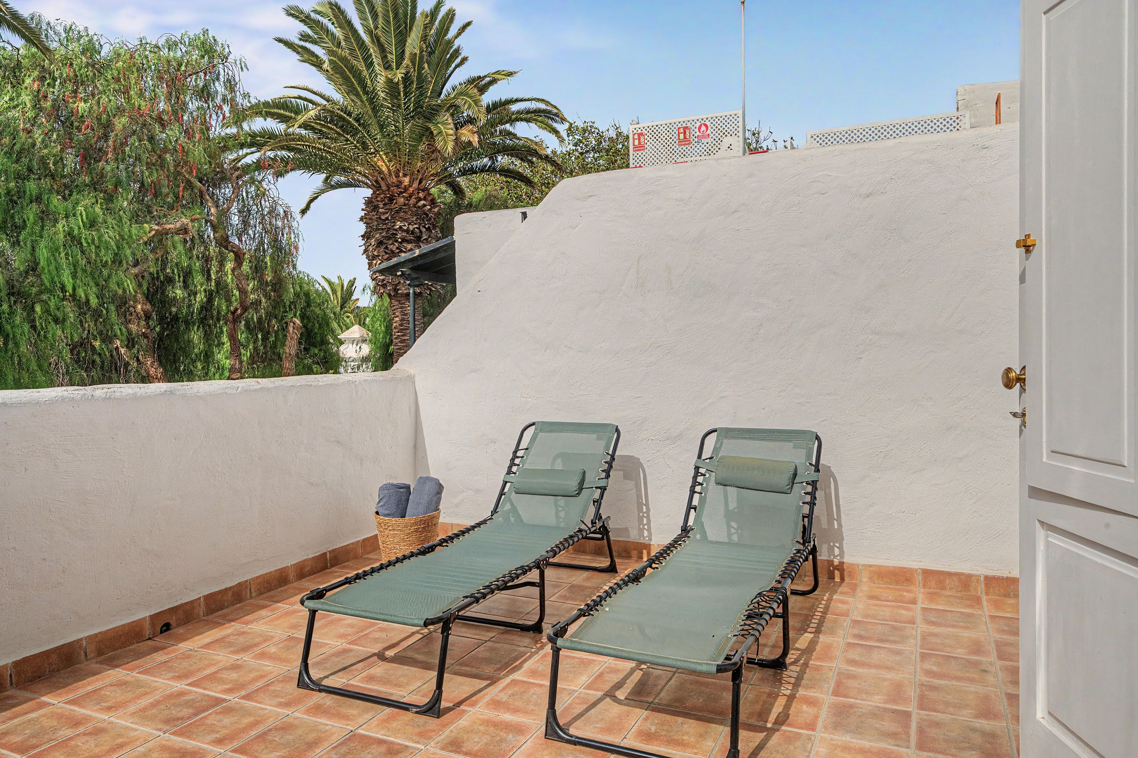 Un balcón con dos sillones verdes, una pared blanca y una palmera.