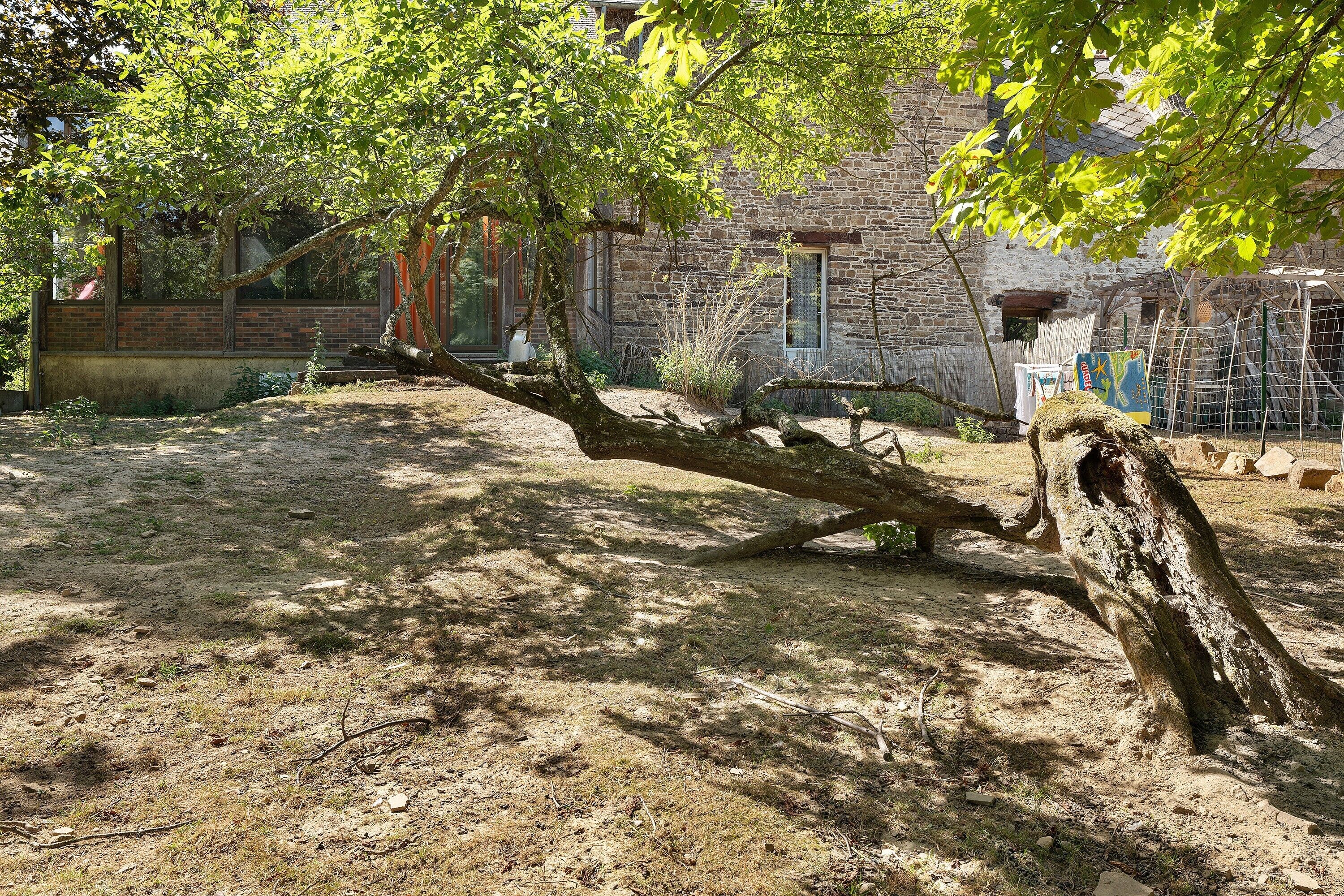 A rustic stone building with a large tree in the foreground.