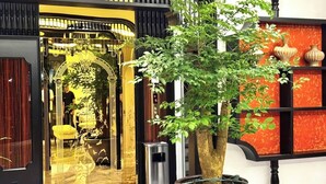 A building facade with a large potted plant in the foreground. - Dollar Hotel An Khanh (Hanoi)