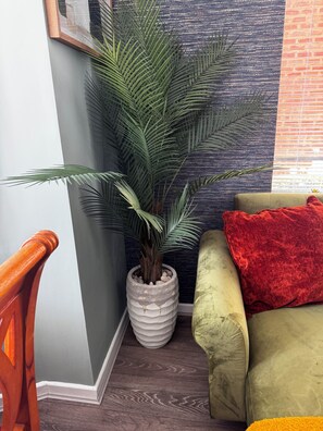Un coin de pièce avec une plante en pot, un canapé vert agrémenté d’un coussin rouge et une chaise en bois.