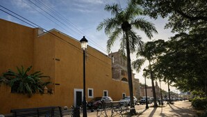 A street with parked cars, benches, and a palm tree. - Room-balcony Street View Bedroom Zona Co (Santo Domingo)