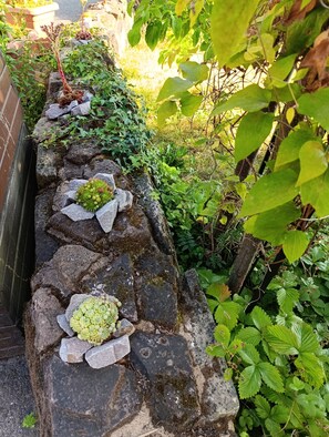 A garden pathway with plants and rocks.