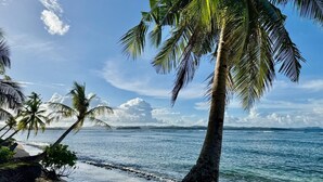 A beach with palm trees and a clear sky.