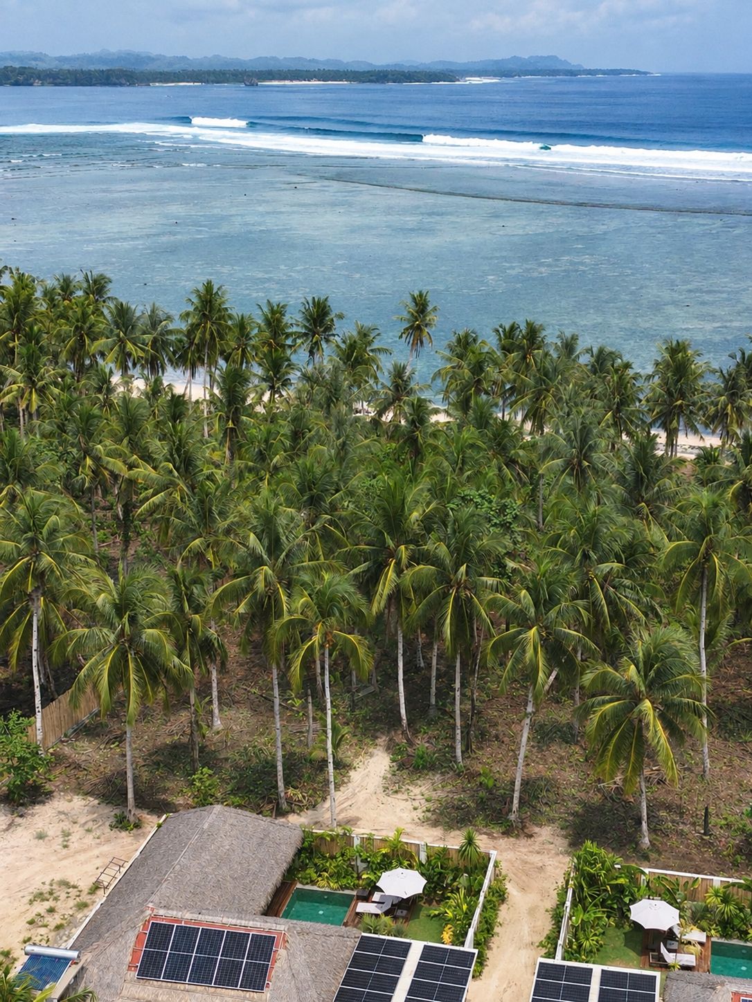 Una playa tropical con palmeras, una piscina y paneles solares.