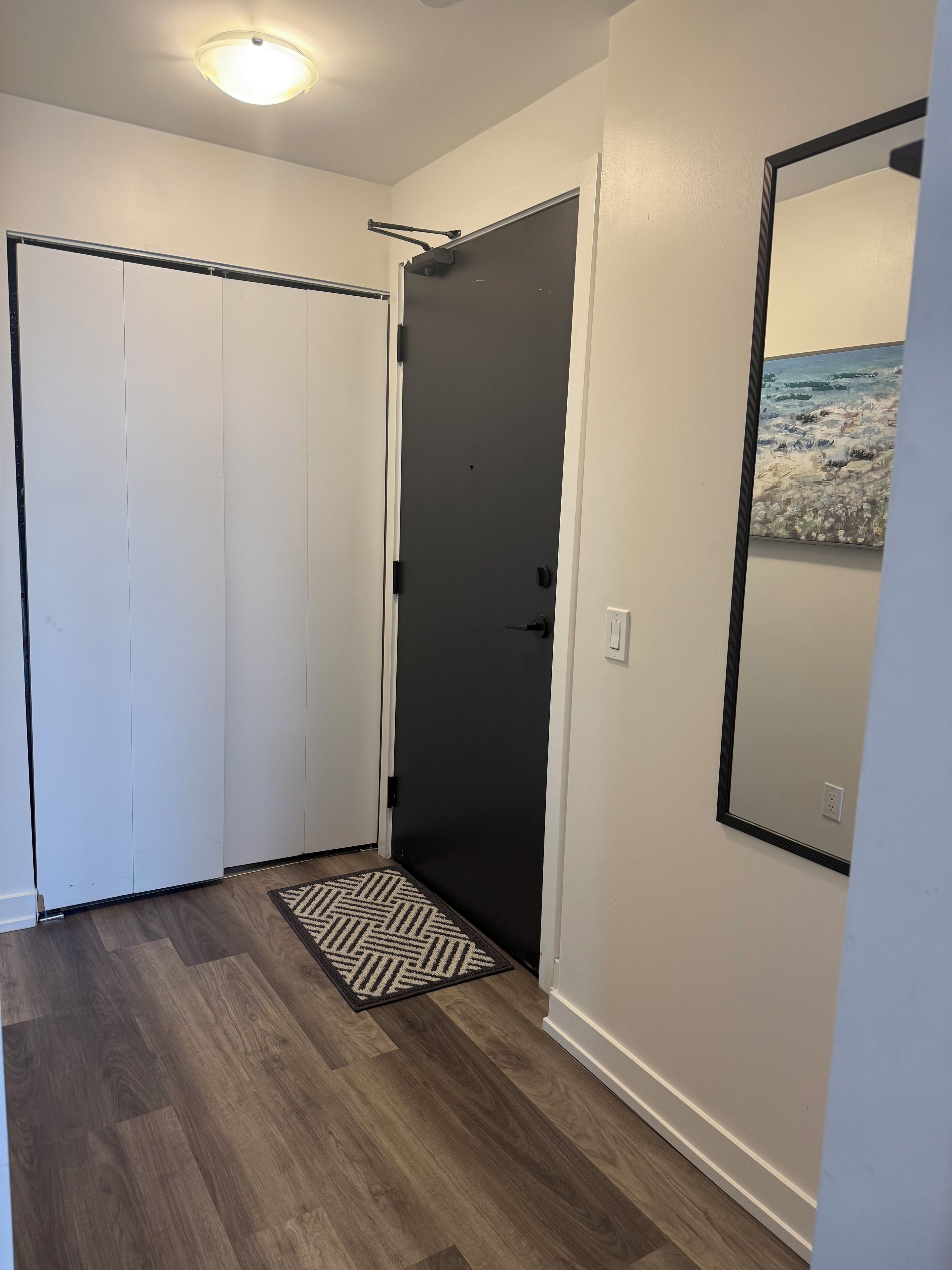 Un couloir avec une porte sombre, une armoire blanche et un miroir au mur.