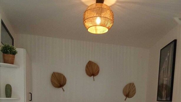 A room with a bed, a small table, a chair, a shelf with plants, and a hanging light fixture. - Studio privée à Montmartre - quartier Bohème (Paris)
