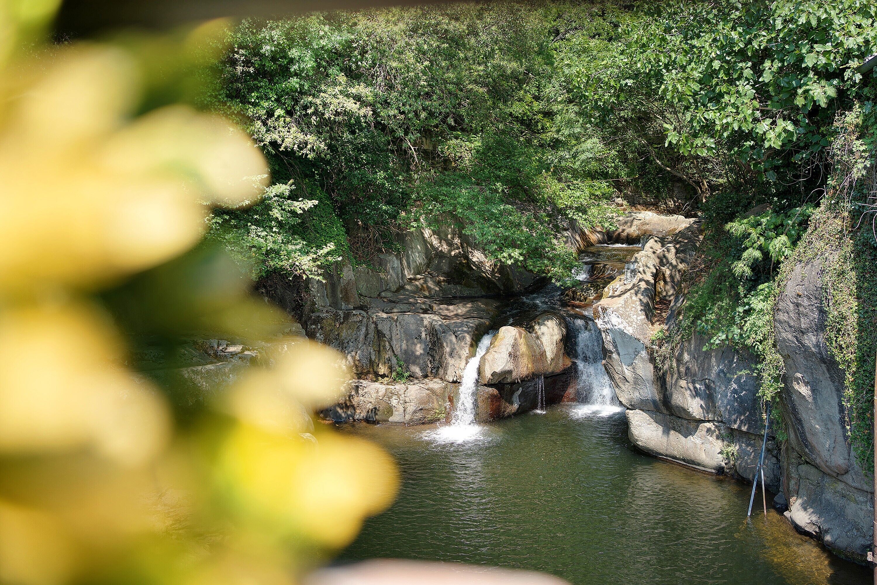 A natural waterfall surrounded by dense greenery.