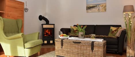 TV, fireplace, books, stereo