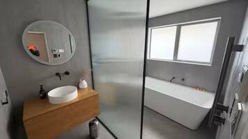 Shower, hair dryer, soap, toilet paper