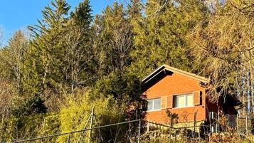Une petite maison en briques, de plain-pied, entourée d’une forêt dense.