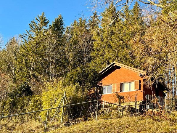 Une petite maison en briques, de plain-pied, entourée d’une forêt dense.
