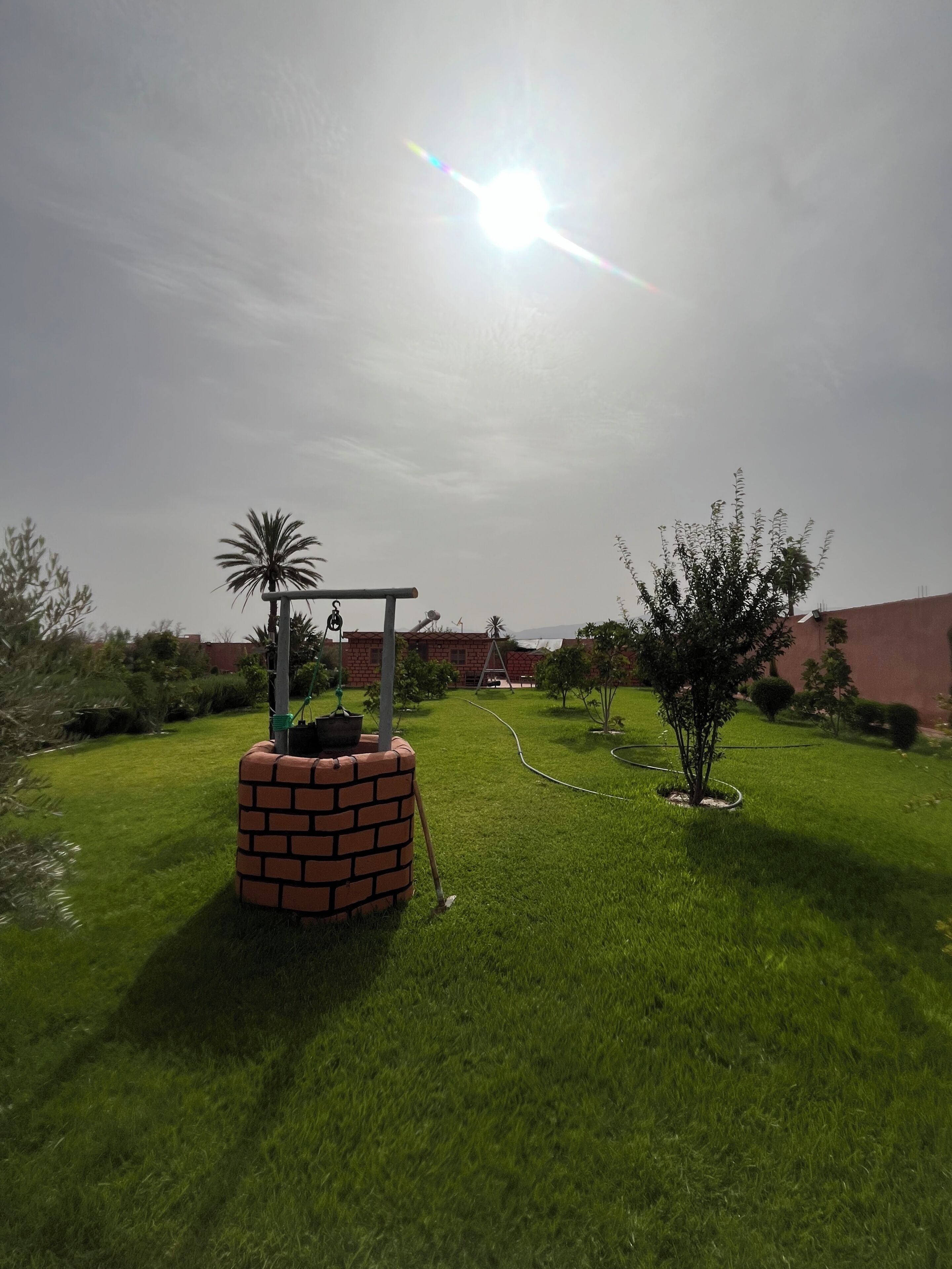 A well-maintained grassy area with a brick planter, a small tree, and a hose.