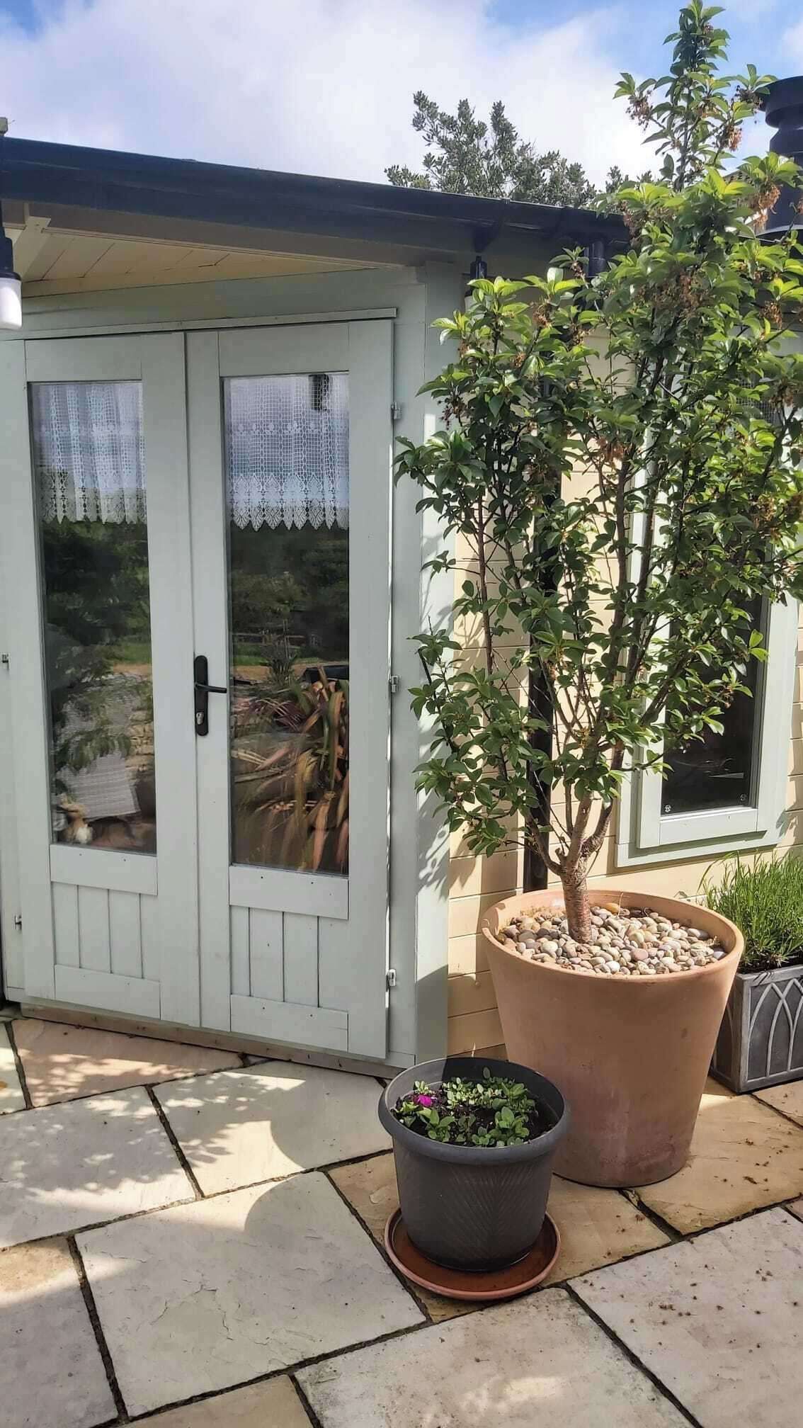 A white door with glass panels, a large potted tree, and a smaller pot with plants on a tiled patio.