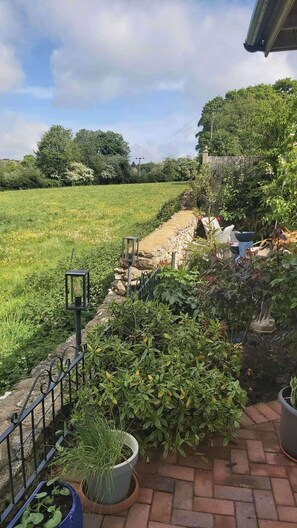 Property grounds - Sleeps6-garden-summerhouse-cotswolds-bungalow (Stroud)
