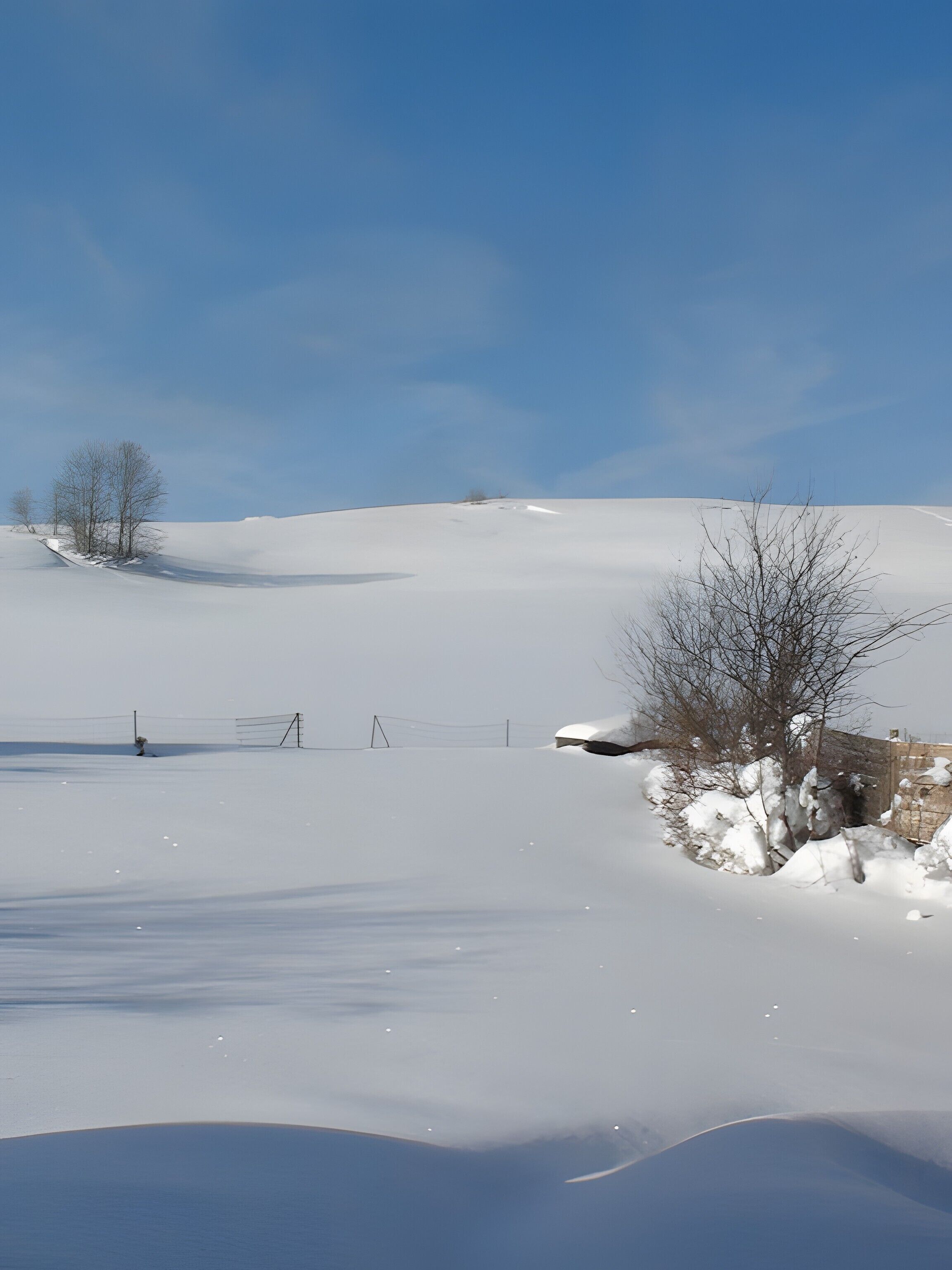 Paisaje nevado con una cerca y árboles sin hojas.