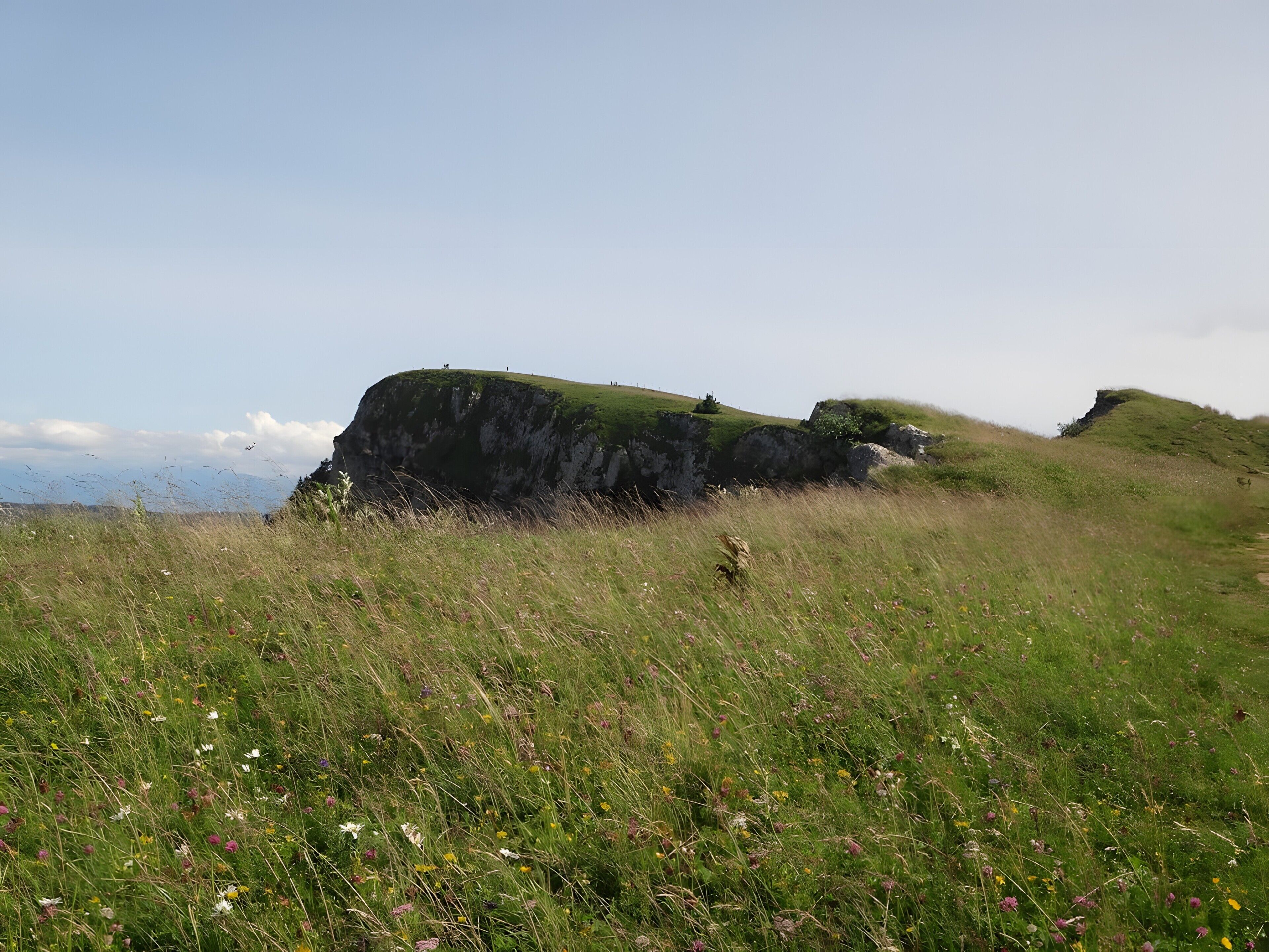 A grassy field with a large rock formation and a clear sky.