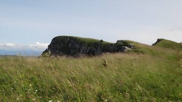 A grassy field with a large rock formation and a clear sky.