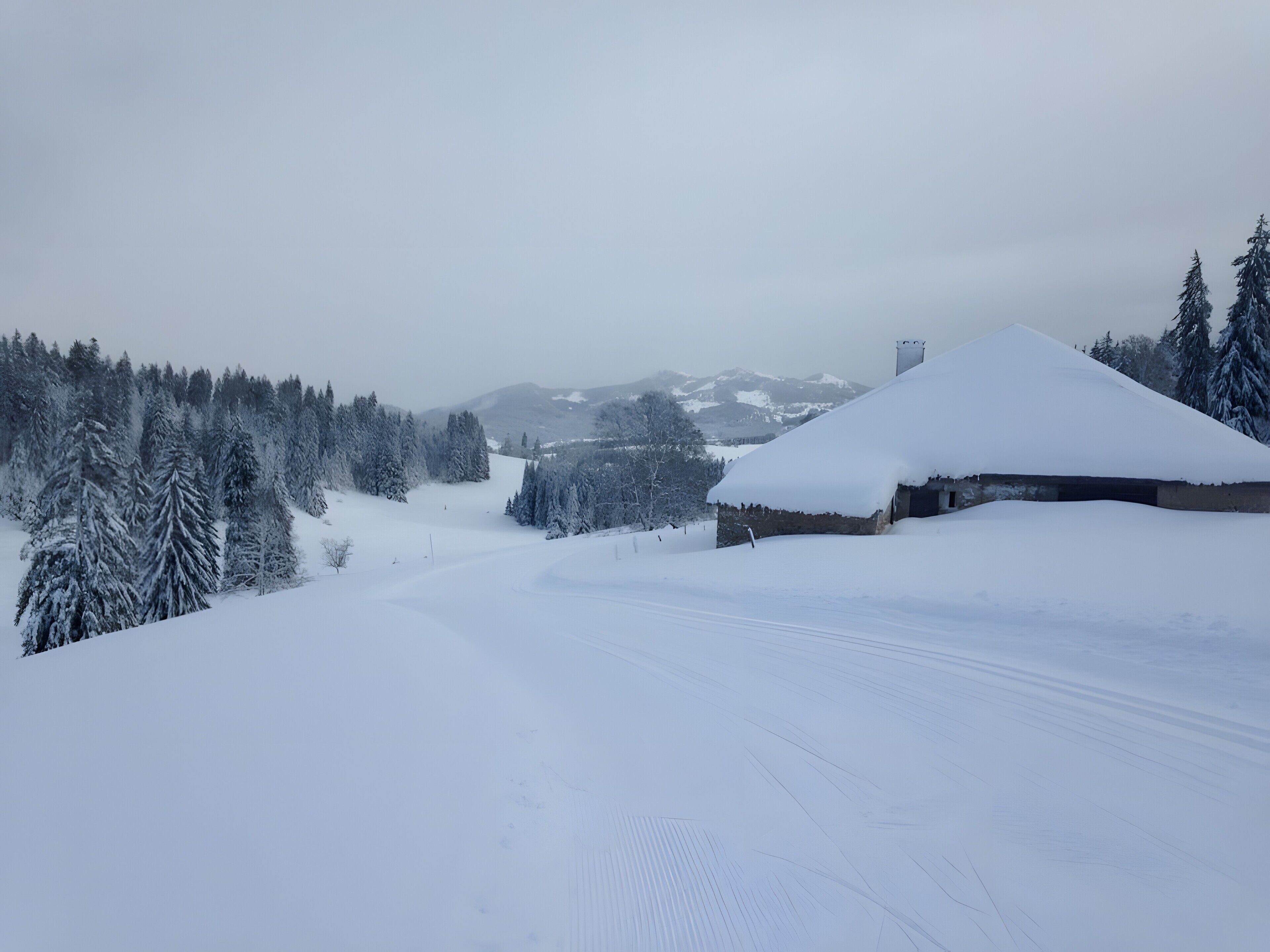 A snow-covered landscape with a building and trees.