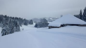 A snow-covered landscape with a building and trees.
