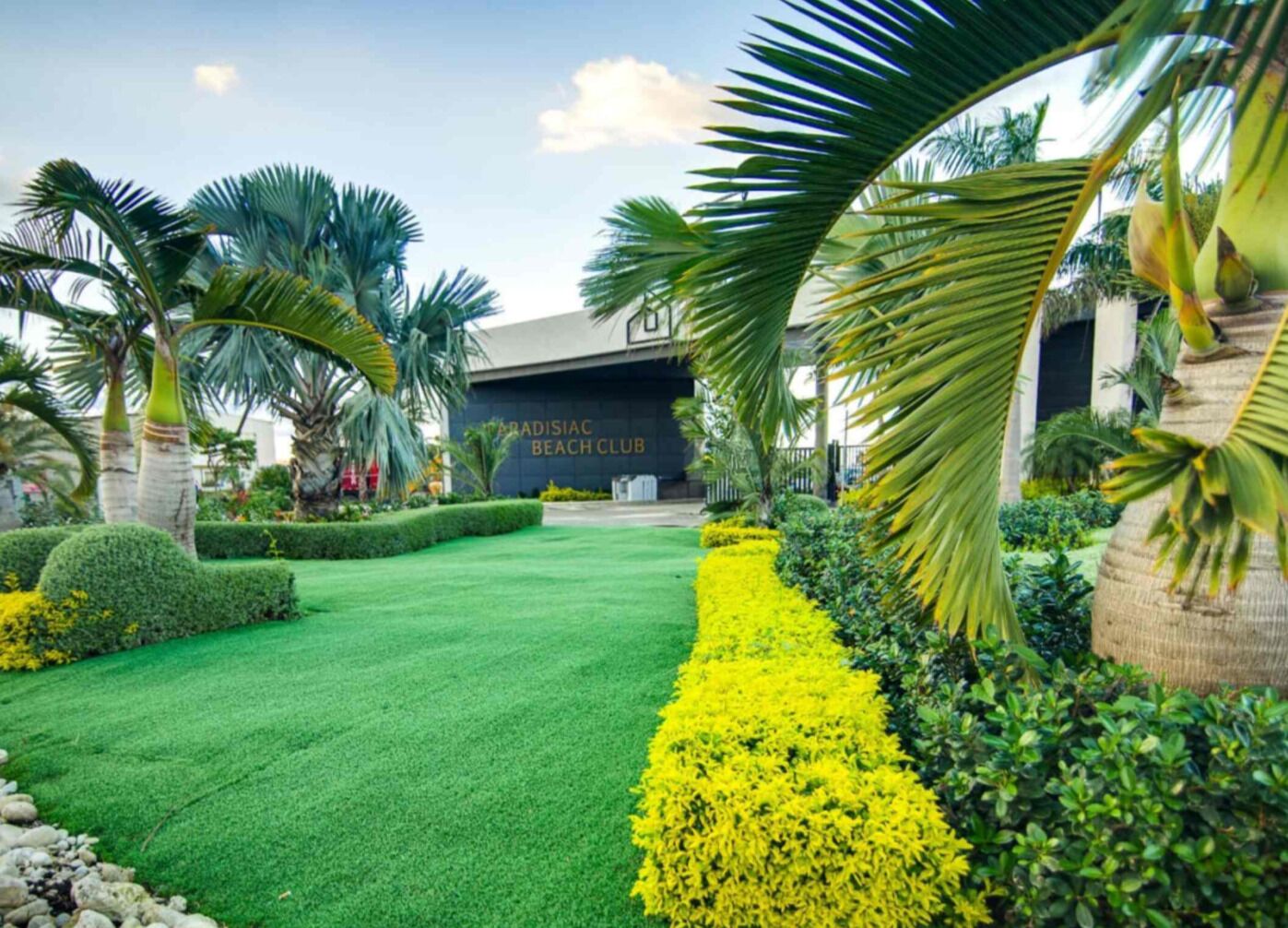 A well-maintained garden with a manicured lawn, yellow flowering shrubs, and palm trees.