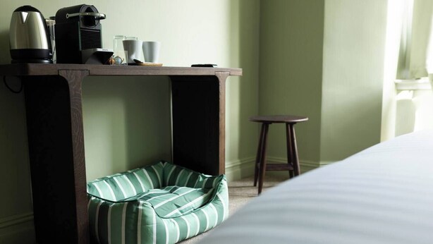 Ein Zimmer mit einem Bett, einer grünen, gestreiften Liege für Haustiere, einem kleinen Holztisch mit Wasserkocher und Tassen sowie einem Hocker.