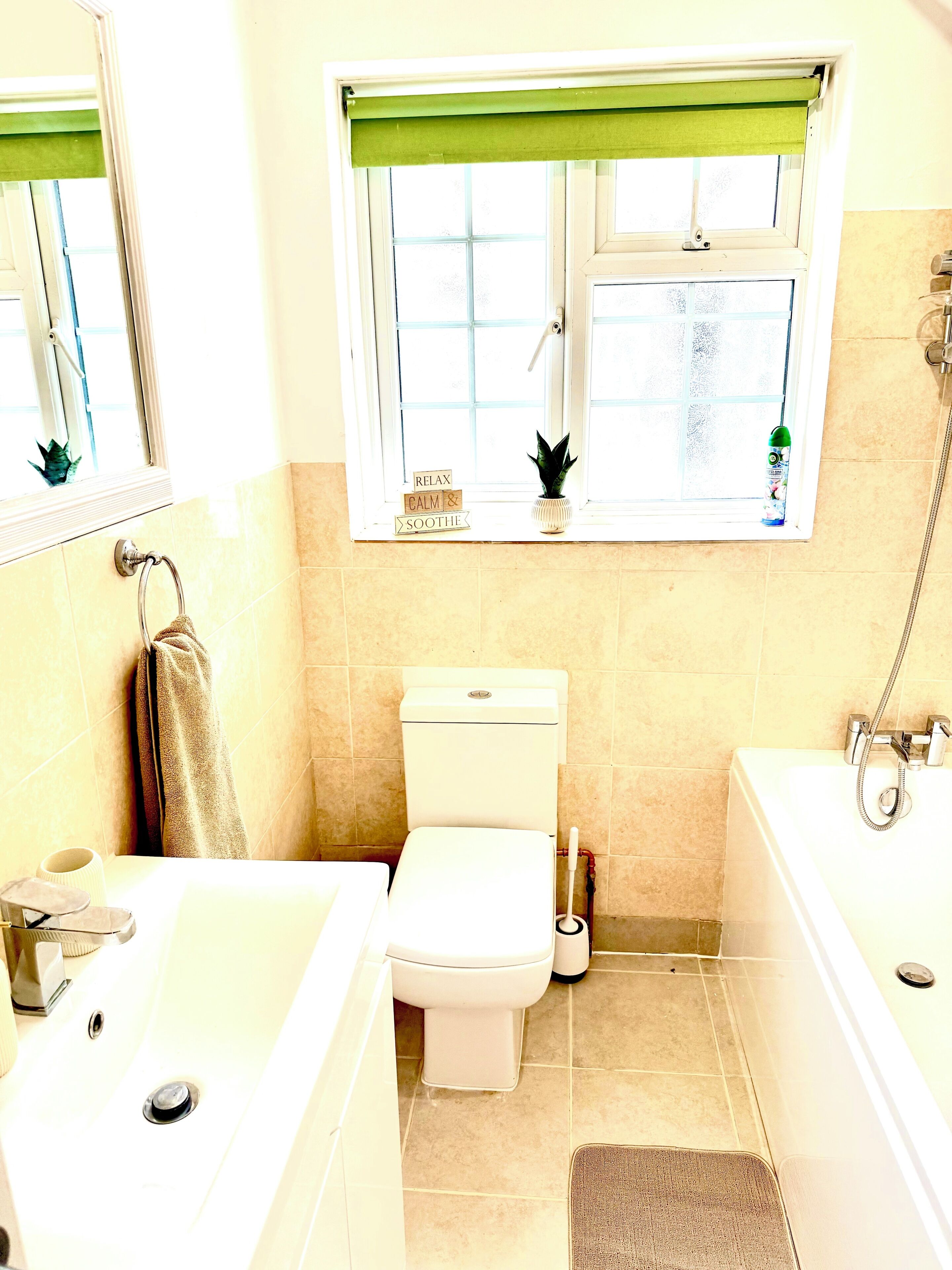 Hair dryer, towels, soap, toilet paper