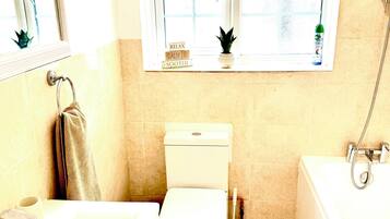 Hair dryer, towels, soap, toilet paper