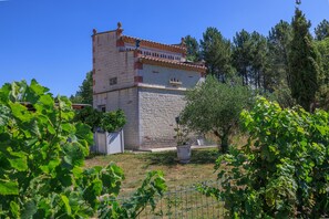 Exterior - L'Etable de Sauvignac - Avec piscine privée (Sauvignac)