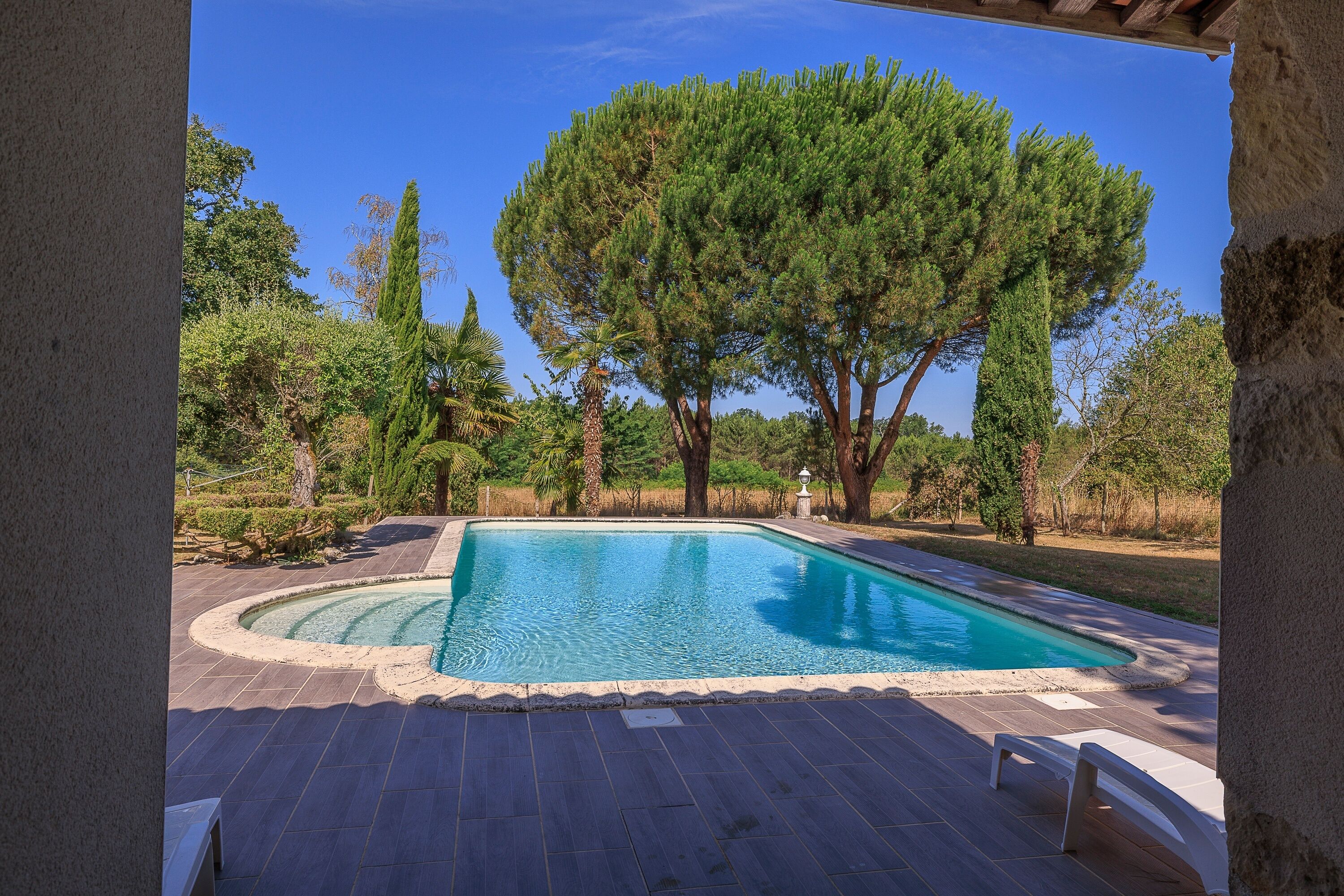 Una piscina de borde curvo, rodeada por una terraza empedrada y árboles.