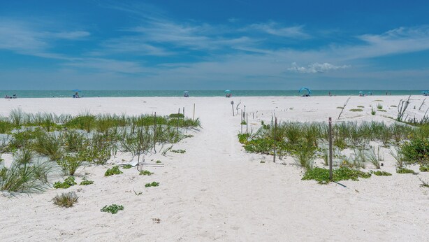 Ein Sandweg am Strand führt zum Meer, mit vereinzelter Vegetation und blauem Himmel.