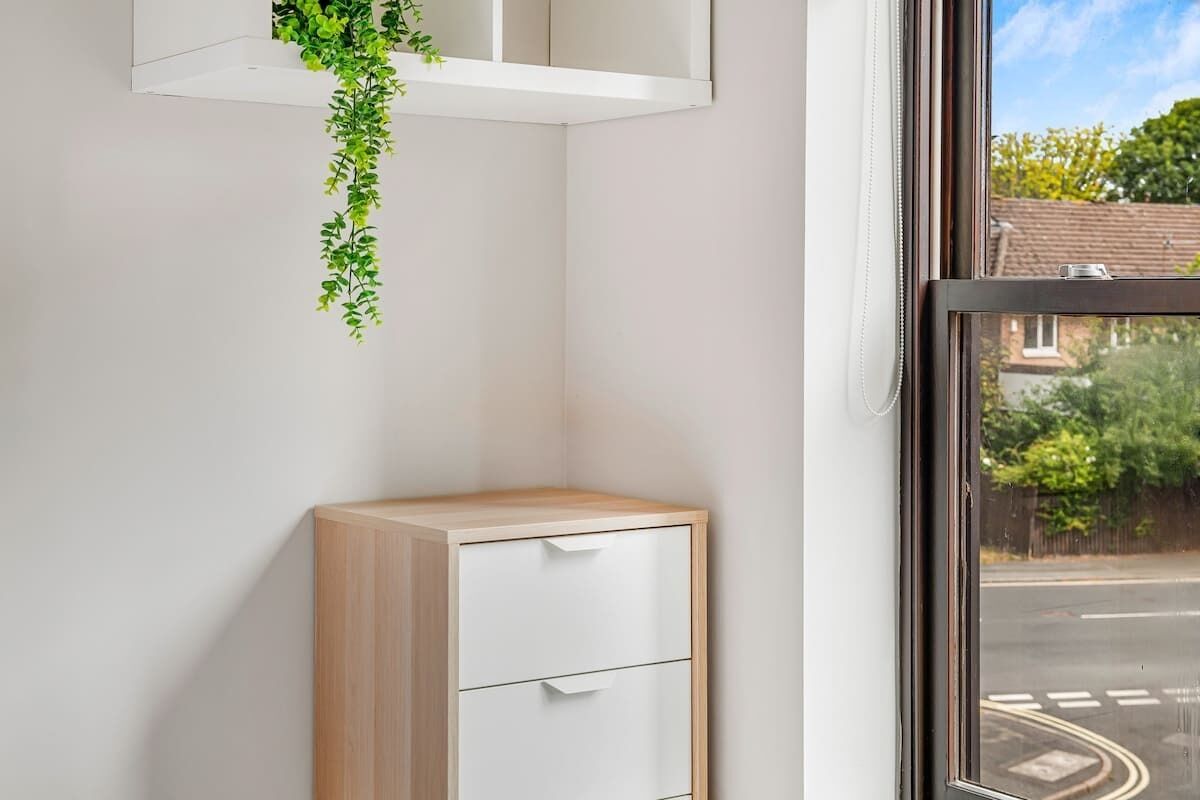 A corner of a room with a white cabinet, a hanging plant, and a window with a view of a street and trees.