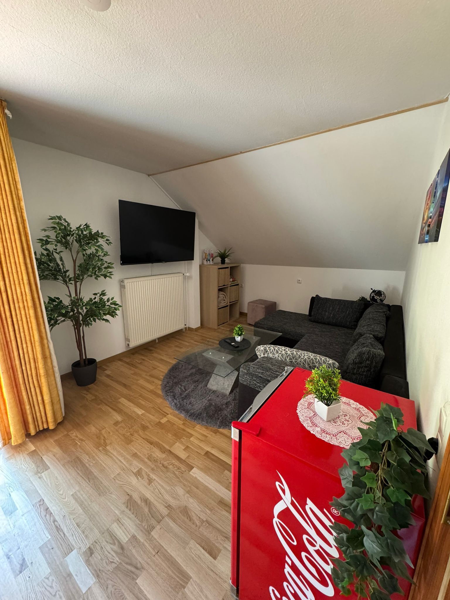 Smart-TV, Bücher