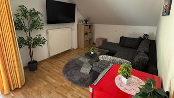 Smart-TV, Bücher