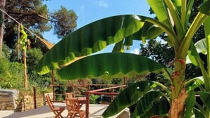 A patio area with a wooden table and chairs, surrounded by banana plants and a stone wall. - Papaya Suite for 3 guests, located in the nature park, Free parking (Rapallo)