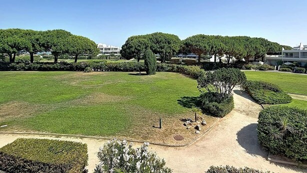 Un jardí paisatjístic amb gespa ben cuidada, diverses espècies d'arbres i un cel serè.