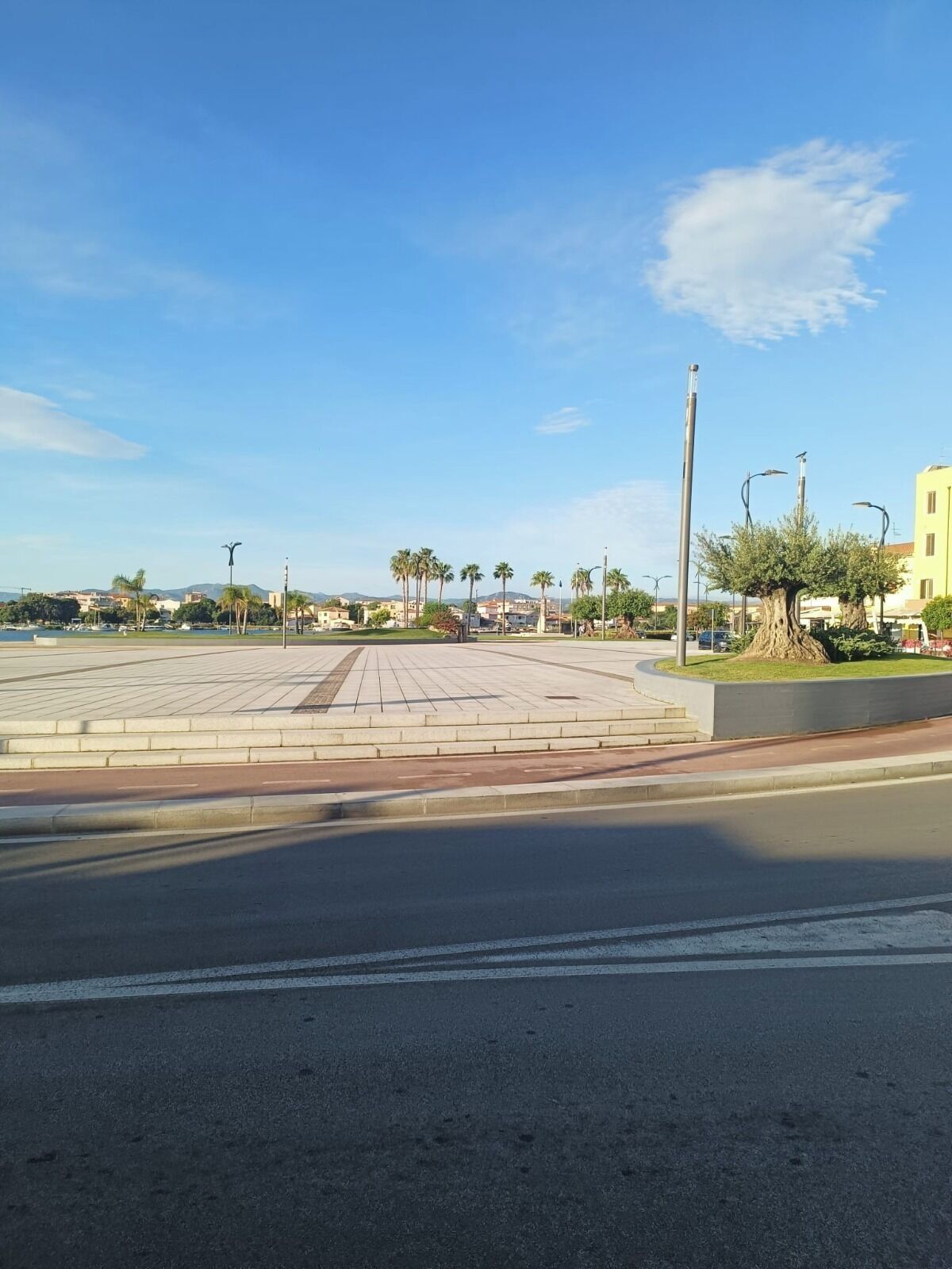 A paved square with a central monument, surrounded by palm trees and buildings in the background.