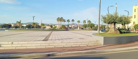 A paved square with a central monument, surrounded by palm trees and buildings in the background.